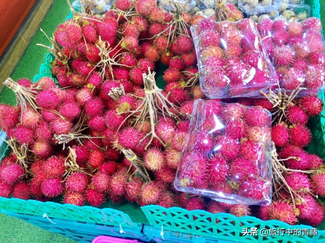 西双版纳最便宜的水果市场在哪里,西双版纳水果和昆明比哪个便宜