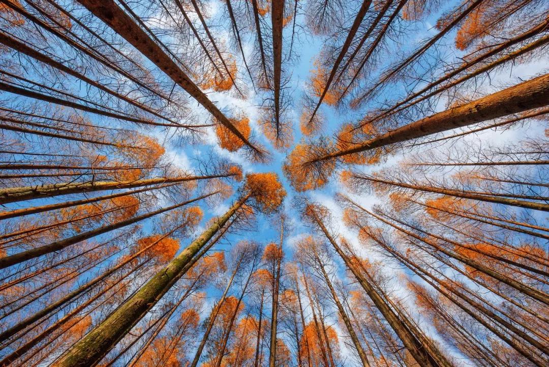 值得收藏两千成语头尾接龙,2000个成语接龙快人快语