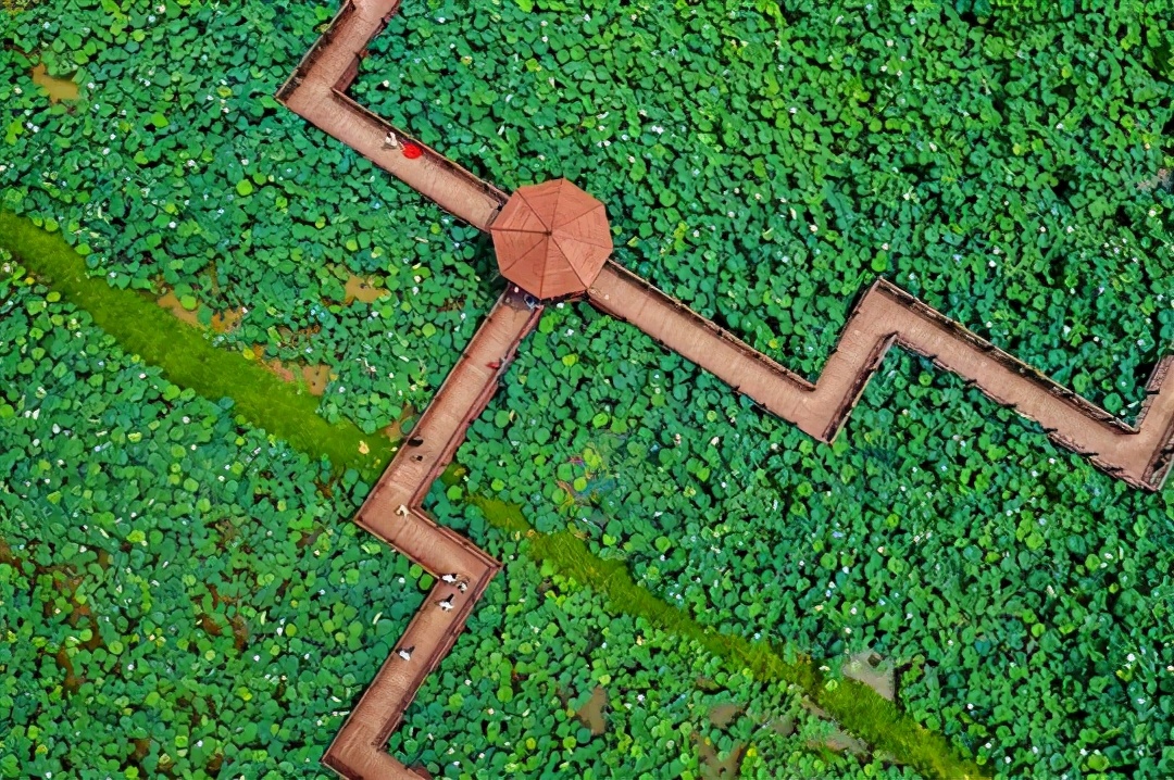 国庆肥西十大网红打卡地,合肥春游打卡攻略