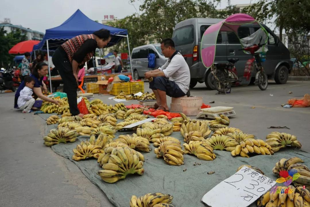 遇见狮岭真实视频,遇见狮子京剧