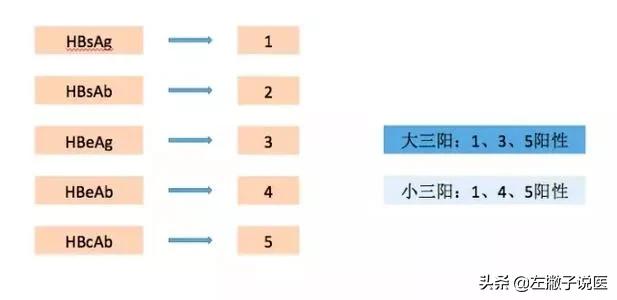 乙肝小三阳真的有这么可怕么,乙肝大小三阳有何区别哪个更严重
