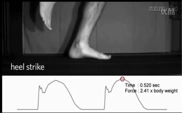 缓震跑鞋是碳板跑鞋吗,缓震跑鞋有必要买吗