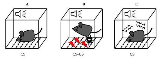 深兰科技现场,深兰科技