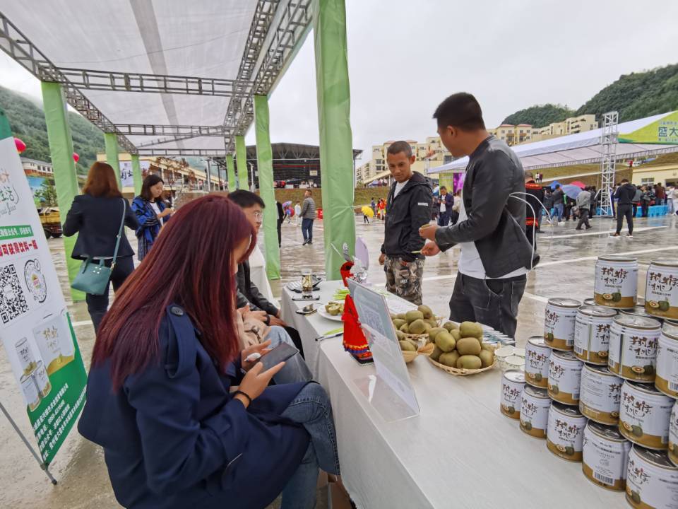 以朵旗舰店,以朵品牌专卖店