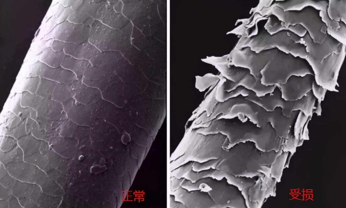 马云不要抱怨工作有多忙,马云能解决农民种地难的问题吗