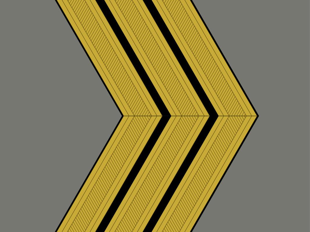 各国军队标识葡萄牙陆军,各国军衔标识葡萄牙