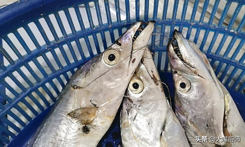 十几一斤和二十几一斤的带鱼区别,为什么带鱼段就几块一斤