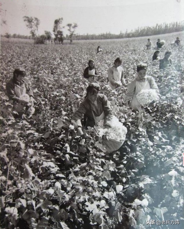 五十年代至七十年代人民公社,6070年代人民公社