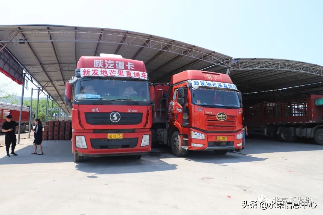 水果大王们生意经,水果生意经