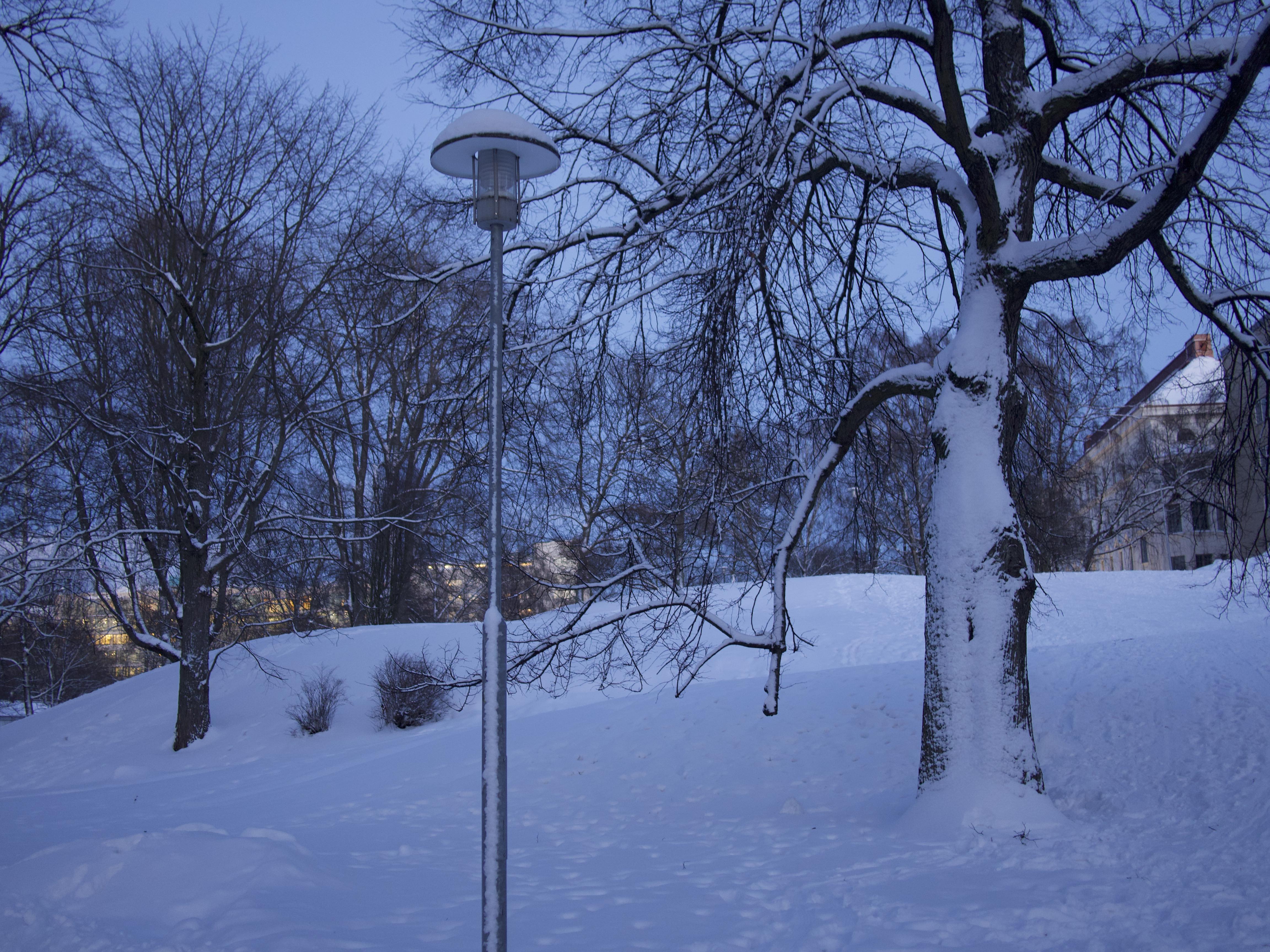 寒冬将至，2019冬季的魔力Taikatalvi-芬兰冬季文化营回顾