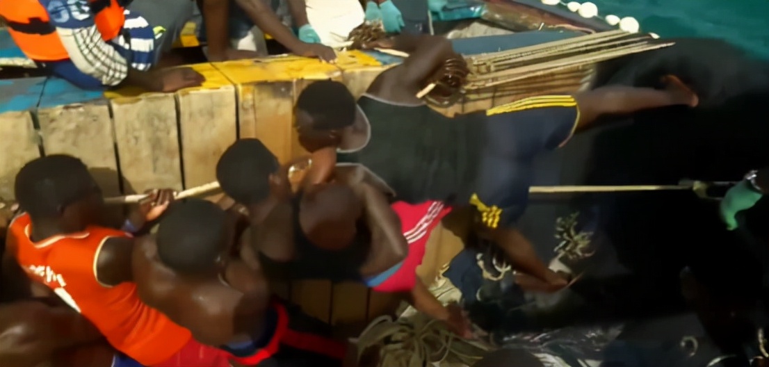 非洲人的捕鱼绝技，一天能捕7吨鱼，出海全凭肉眼找鱼