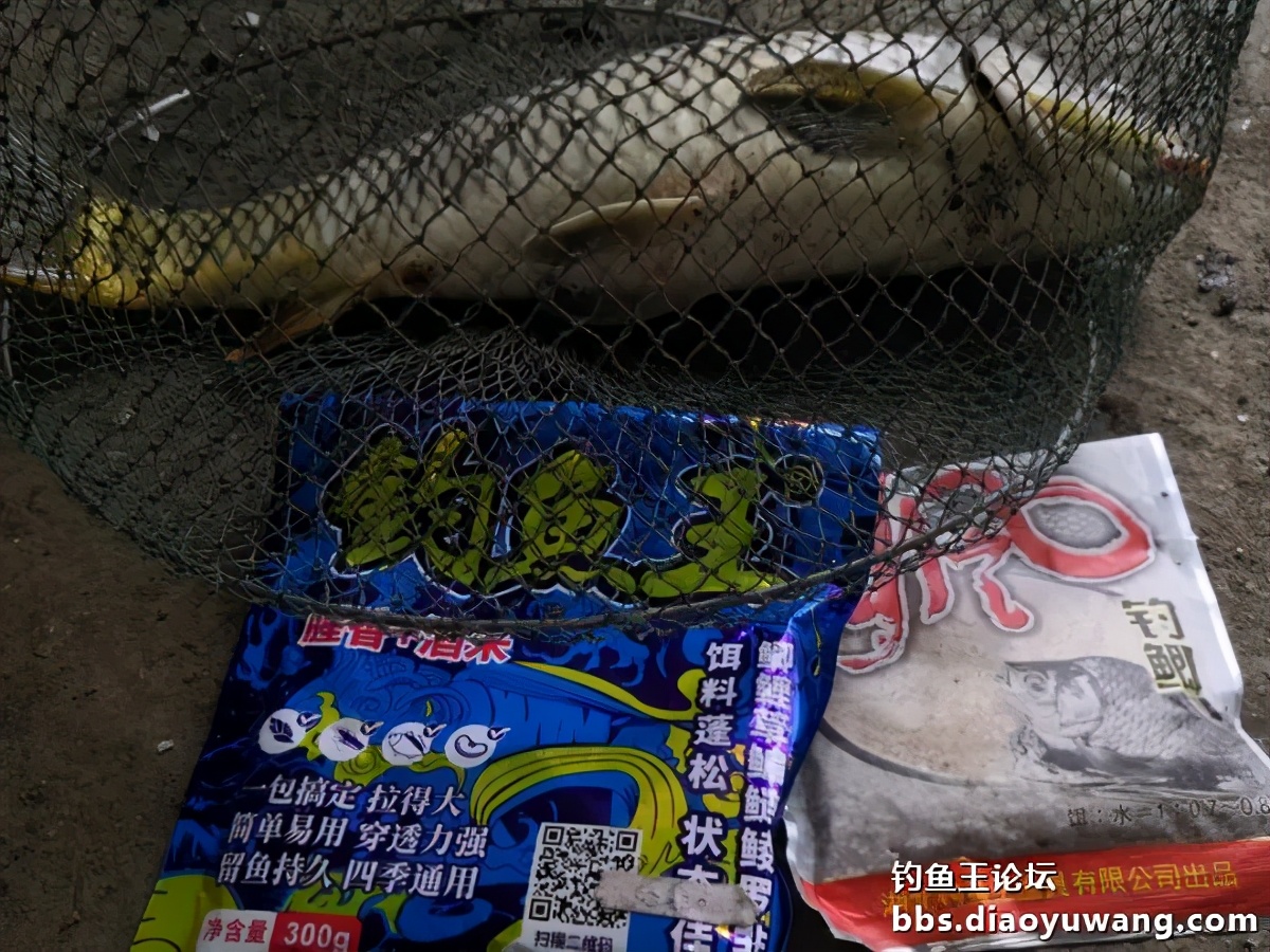 疯钓鲫搭配,疯钓鲫本味单开效果怎么样