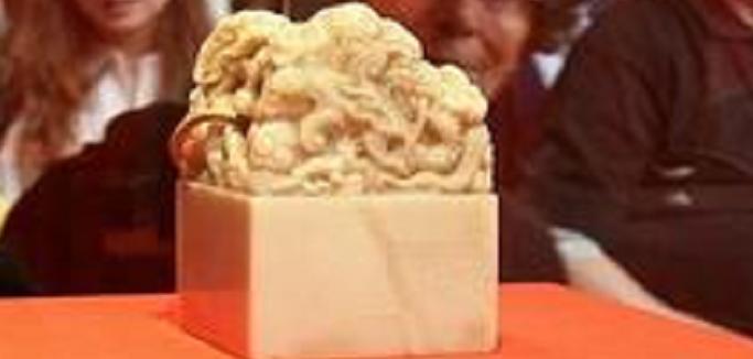 公司部门公章的法律效力,关于公司你了解多少