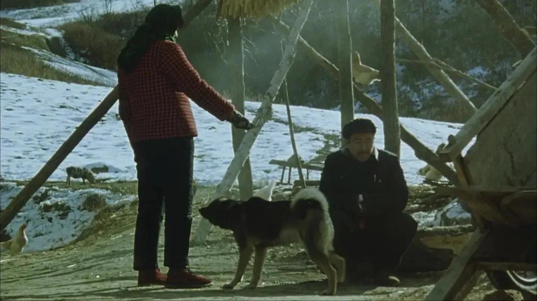 小舍得宋佳佟大为蒋欣演技,小舍得宋佳蒋欣拍摄花絮