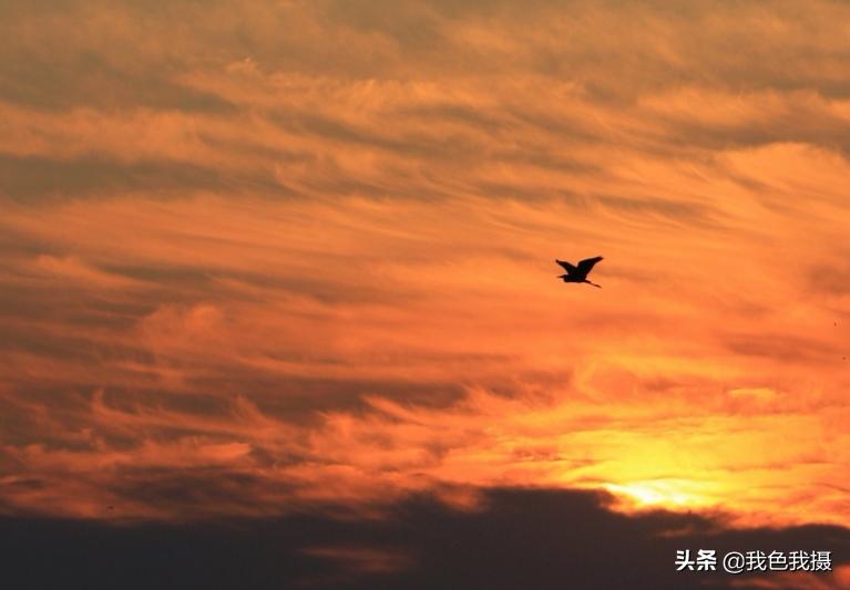 50-200mm镜头够用吗,70-200mm镜头适合拍什么