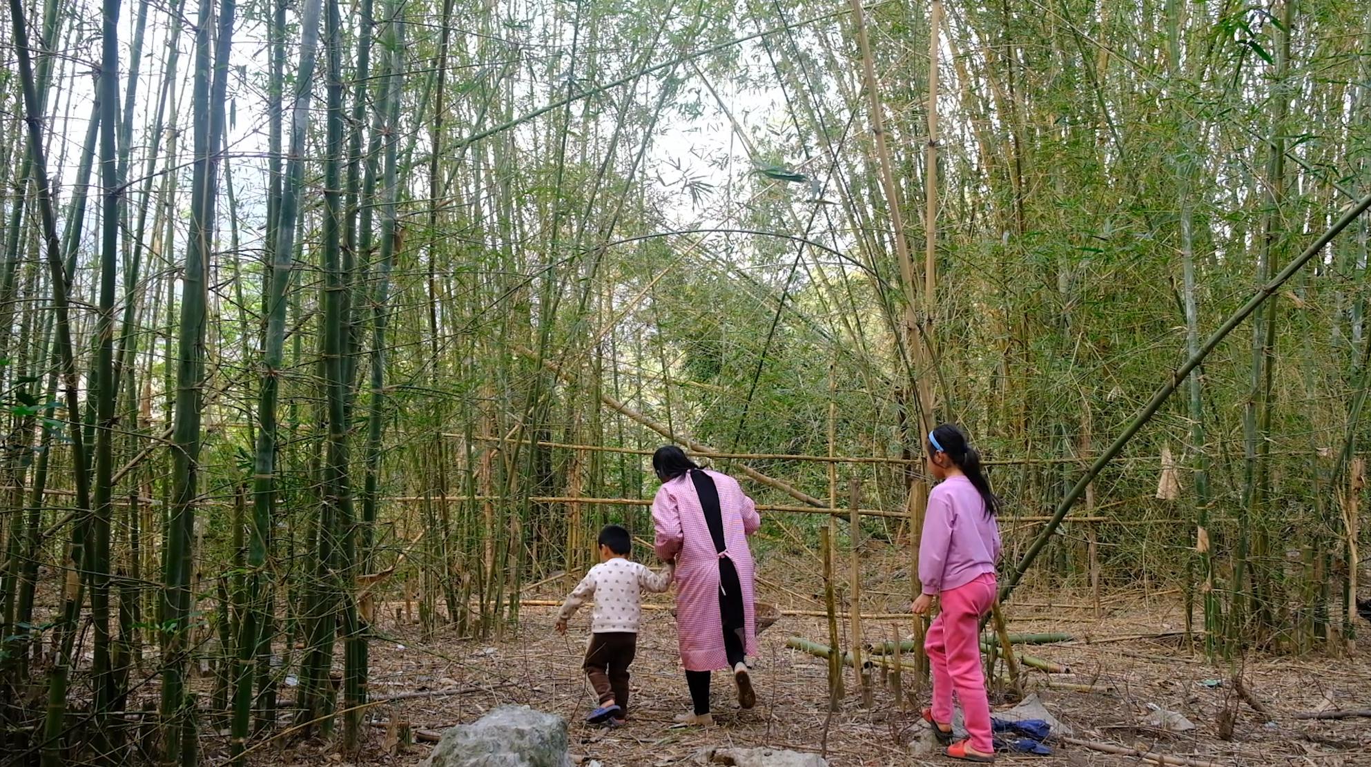 卖完公鸡留母鸡生蛋，不按斤按盒卖70-100块，居然收入千万