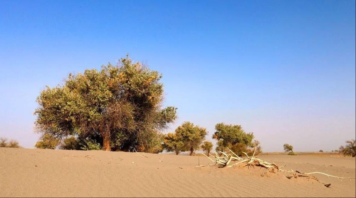 海南的沙漠在哪里,海南有一片神秘沙漠