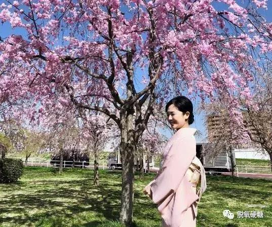 苍井空将为人母，却遭一万次辱骂：脱了衣服就别想穿起来！