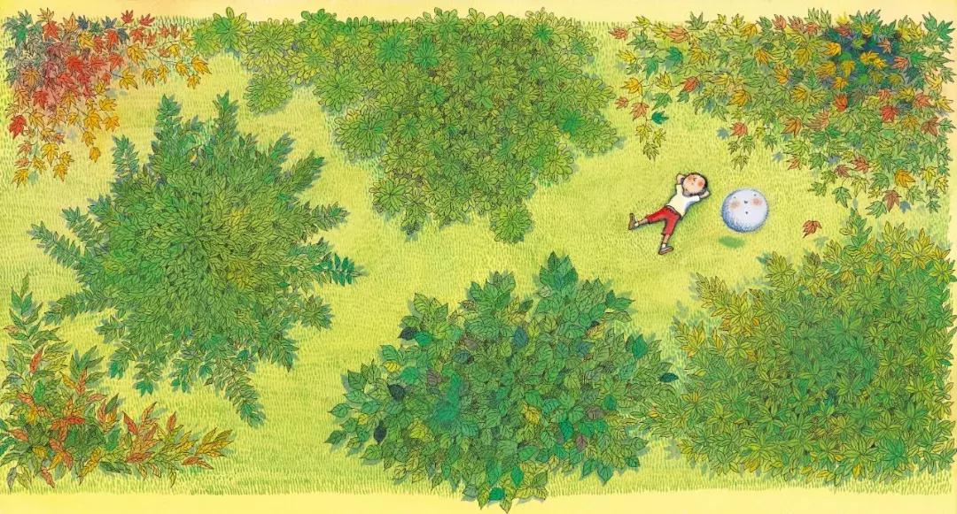 你也许没买过他一本书，但你一定看过他的作品！专访绘画大师幾米