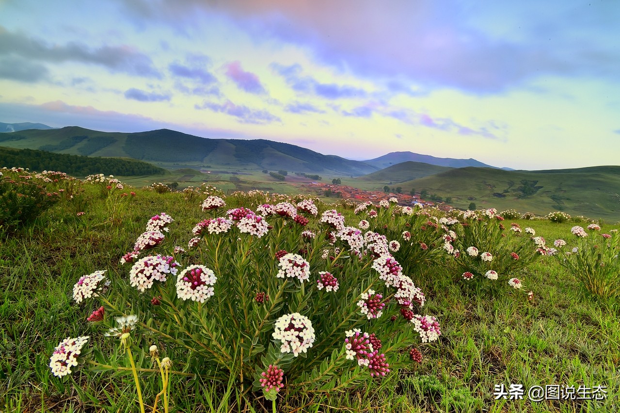 20年风雨治沙路，绿水青山秀丰宁