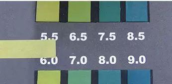 澳大利亚财政部长首推品牌,进国后让柳岩薇娅同时着迷,太疯狂了