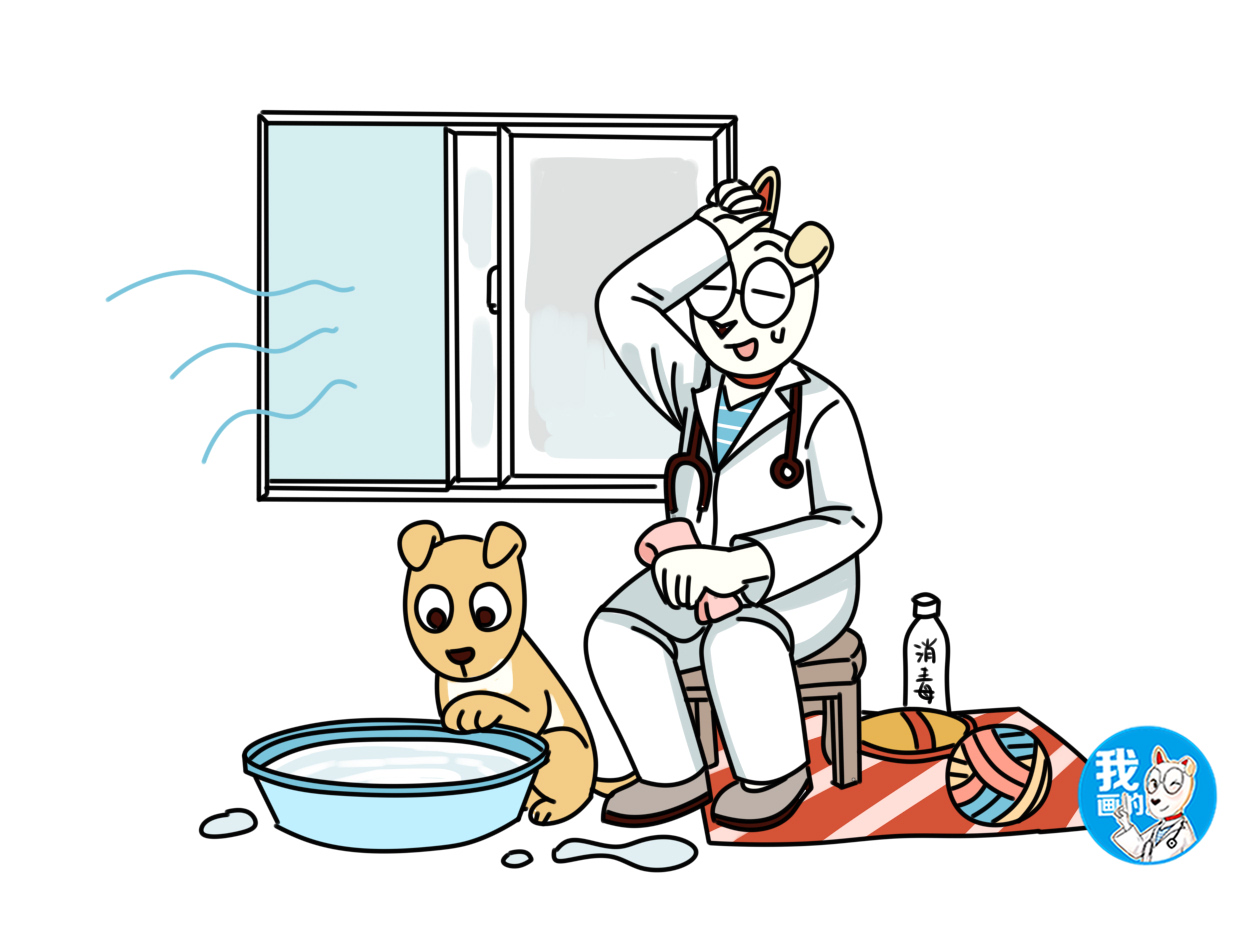 犬细小病毒死亡率百分之几,成年犬感染细小好治愈吗