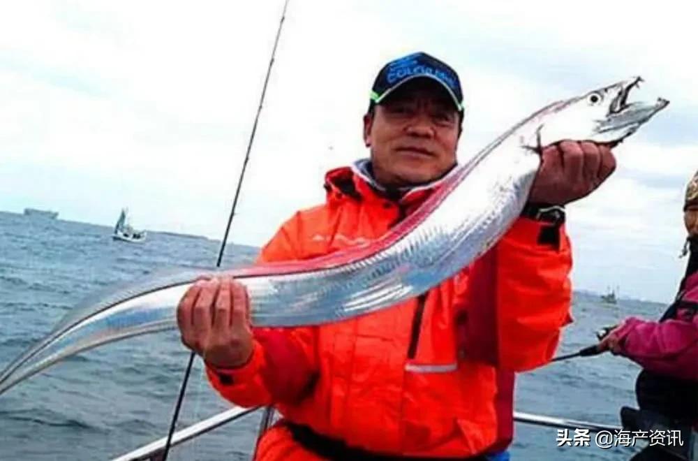 明明是纯天然的深海贵族，为什么却成了中国最平民的海鲜？