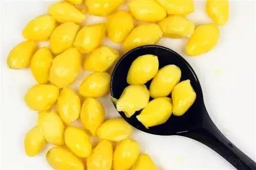 最伤肝的中草药,最伤肝的五种中药抖音