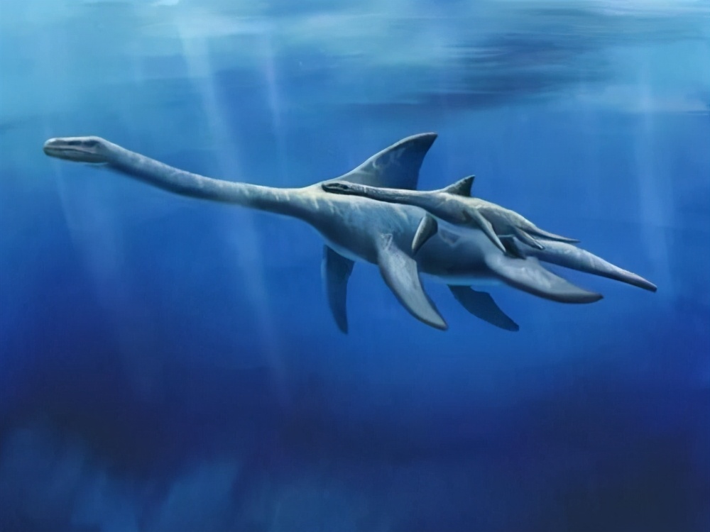 水怪未解之谜青海湖,青海湖水怪在线观看免费完整版