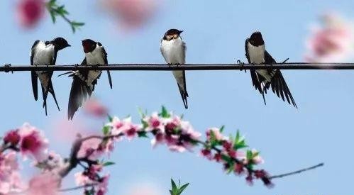 「词一束」陌上花—飞雪天降（外五首）