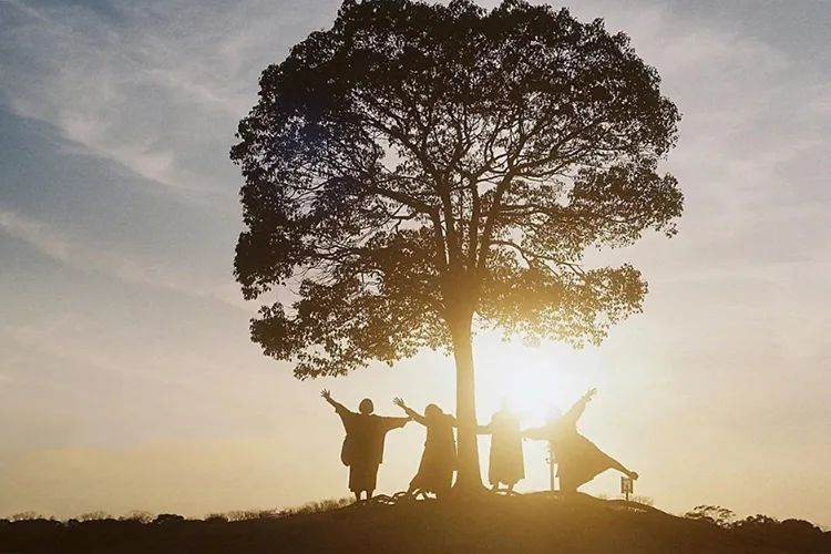 开塞露美容真的有用么,喝开塞露美容