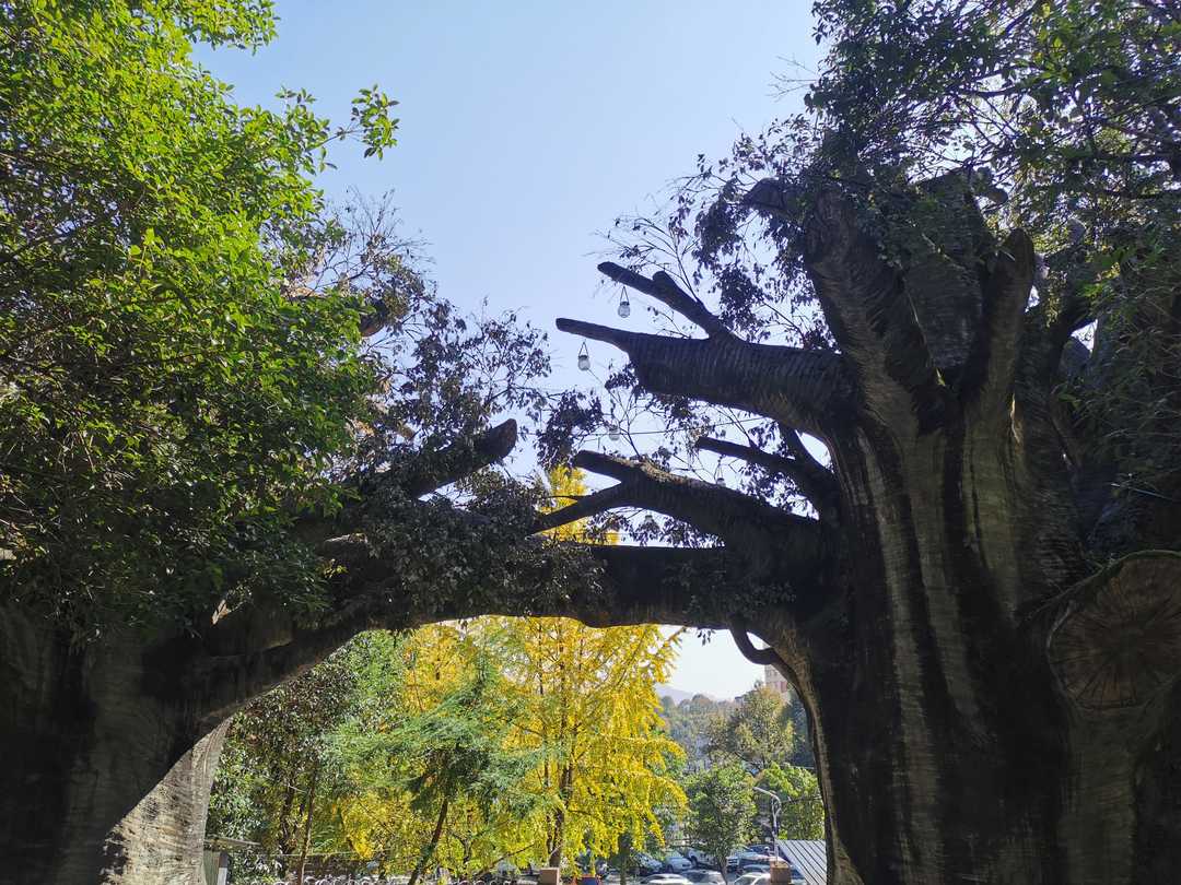 乙肝携带者阻断母婴传播,如何更好地阻断三病母婴传播