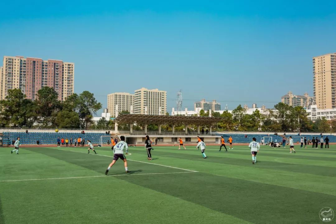 不输武大樱花，文华学院美“枫”了