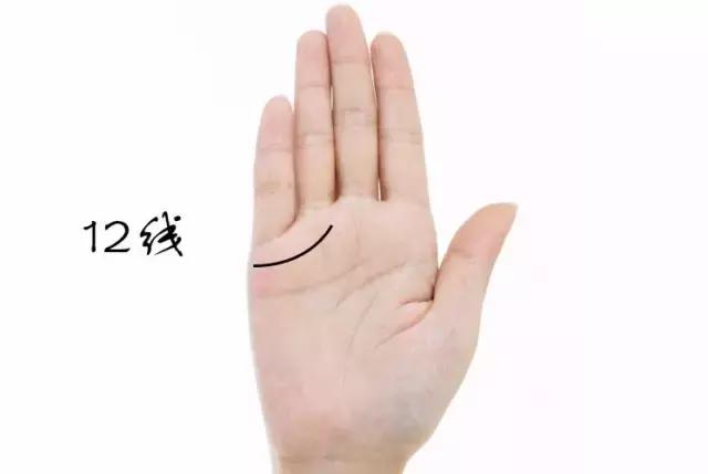 看看你的手相容易被忽略的大掌纹,看看你的手相有没有十字纹