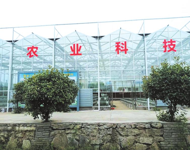 希望的田野永平,希望的田野的视频