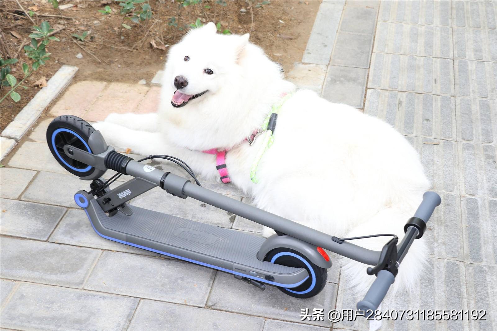 3-6岁儿童滑板车入门推荐,9号儿童滑板车e8使用方法