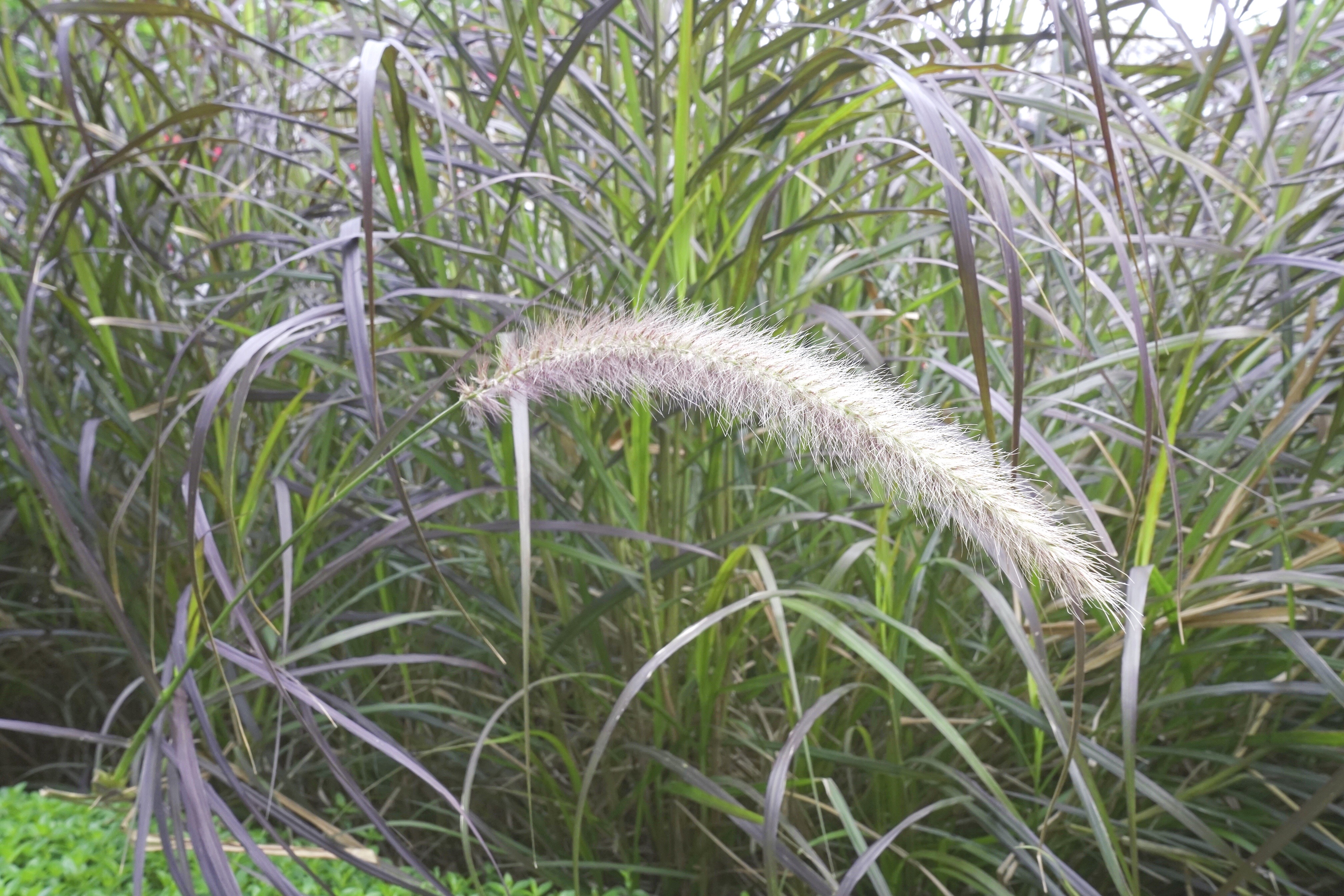 光圈与景深的分析图,焦距光圈物距与景深关系