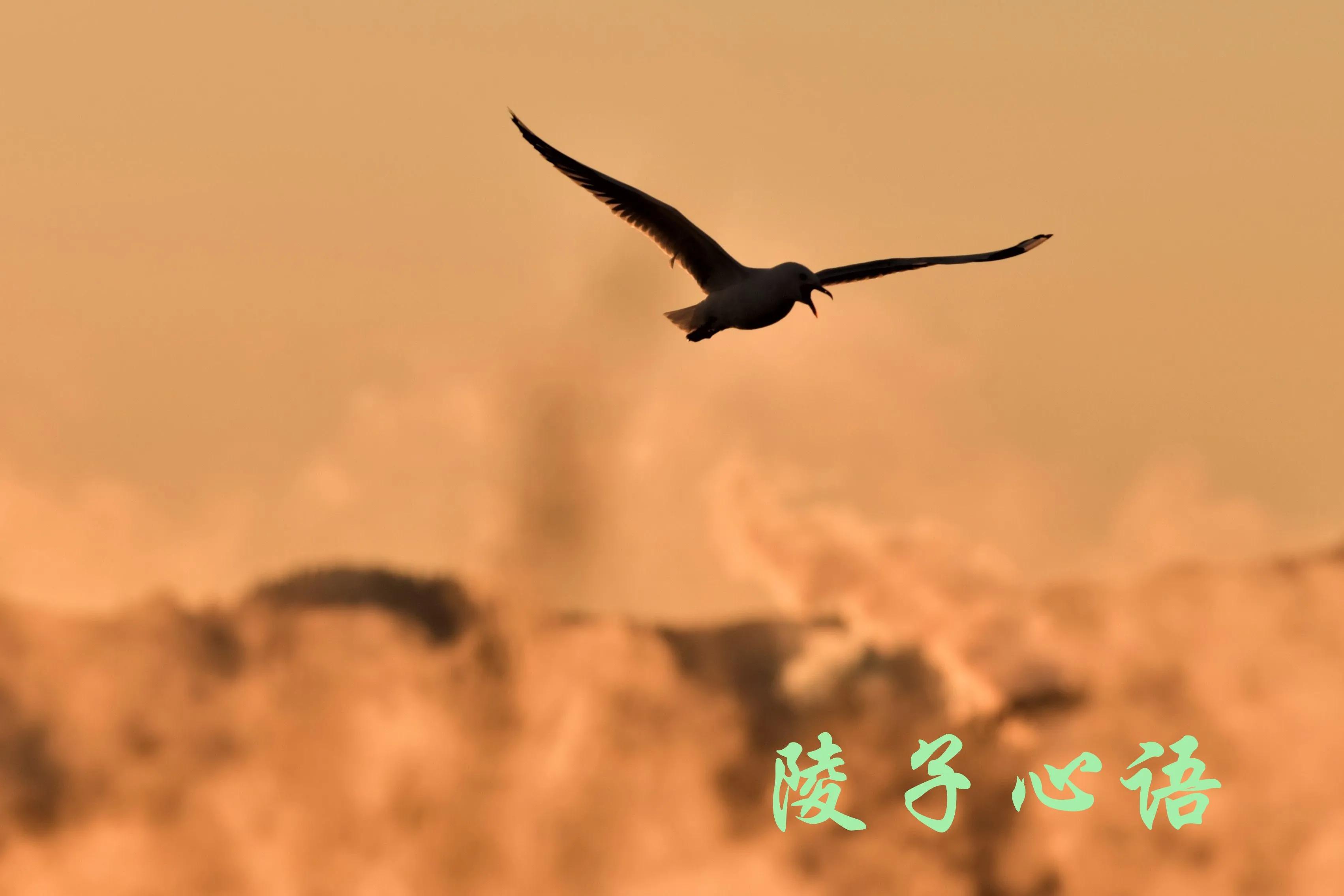 5月4日青年节是法定节假日吗,5月4日是青年节是男人的节日吗