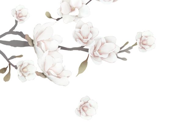 职场人这份实用ppt技巧赶快收藏吧,职场ppt必备的7种思维武器