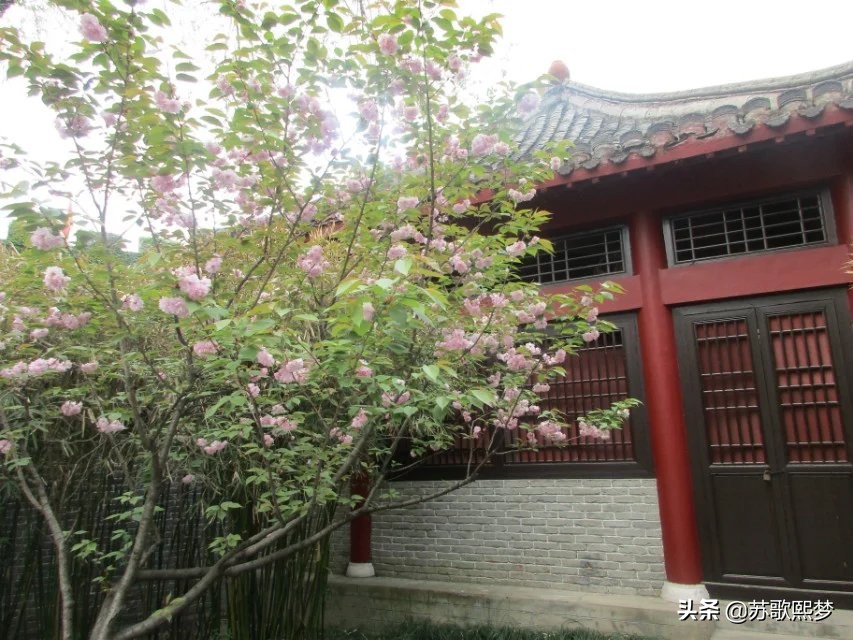 我和横店有个缘