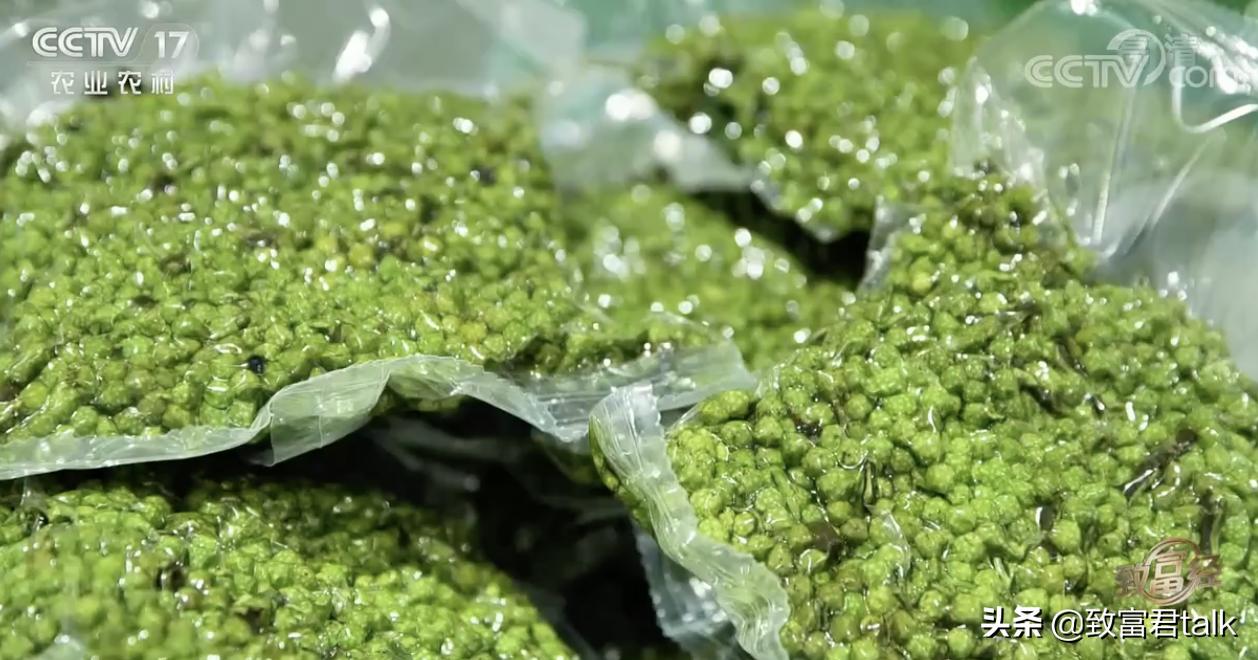 赚麻了：废蒸汽都能拿来赚钱