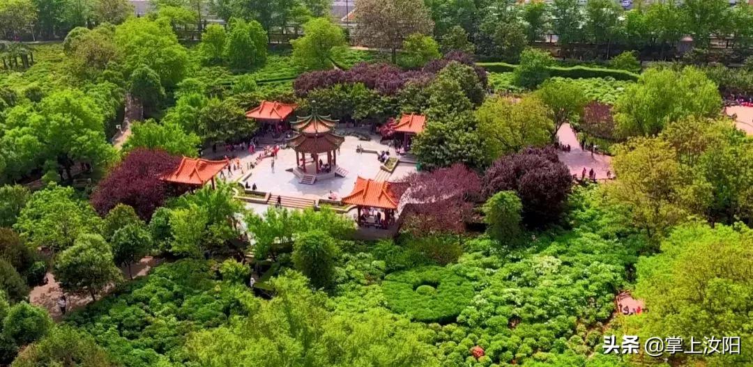 2024年洛阳民生重点工作,2024洛阳市民生实事