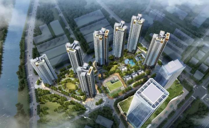 深圳西丽湖潜力,深圳西丽发展前景