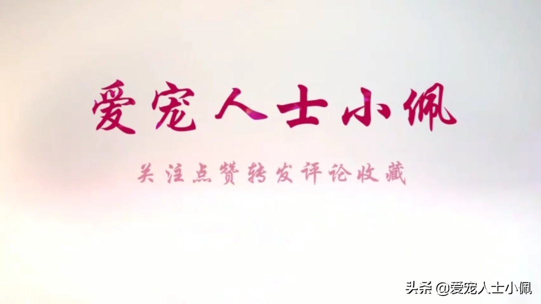 晒晒我的十字绣作品,十字绣手工编织