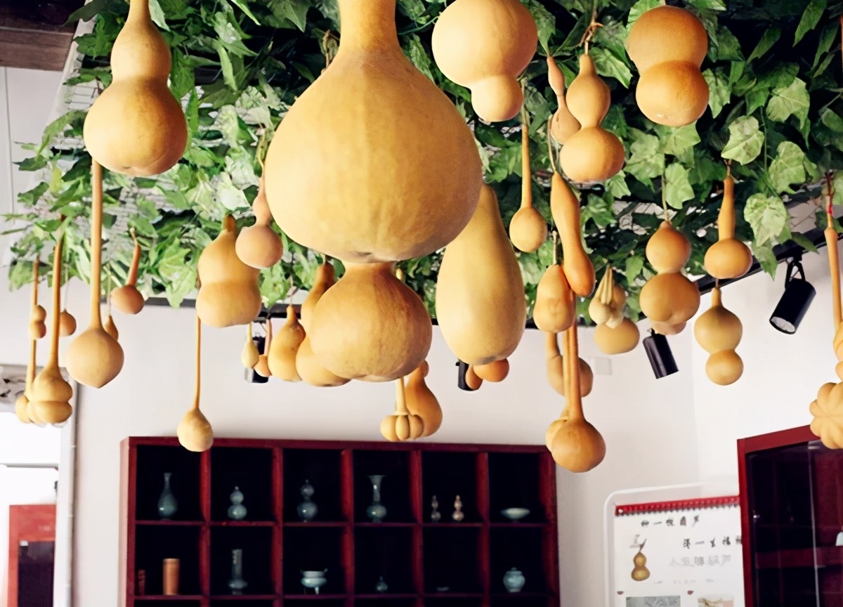 长三角城市群最佳旅游线路,长三角示范区旅游详细攻略