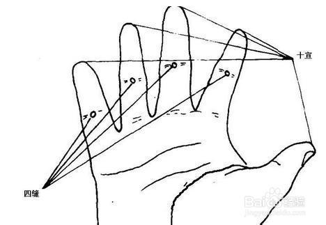 穴位知识分享！非常简单的中医穴位，按一按解决日常生活小毛病