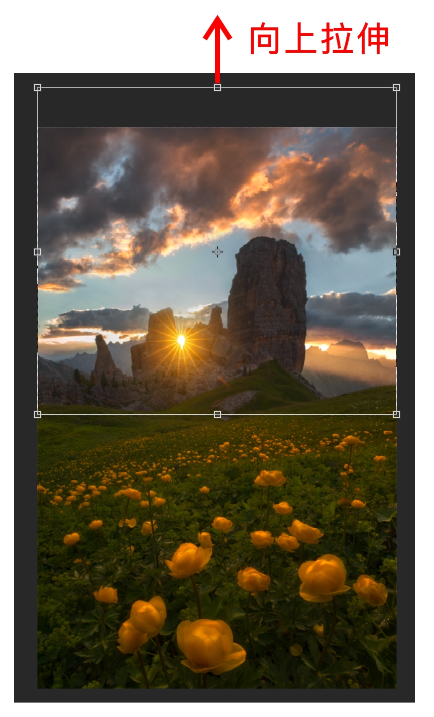 摄影后期的布局,摄影后期裁剪的方法