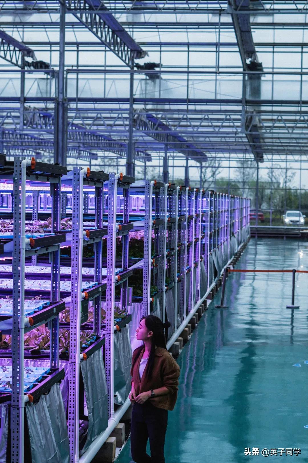 南昌生态谷智慧农场采摘,南昌亲子采摘踏青