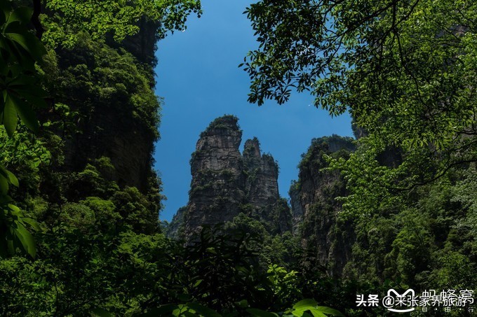 张家界武陵源天门山三日游团购,天门山森林公园张家界自由行攻略