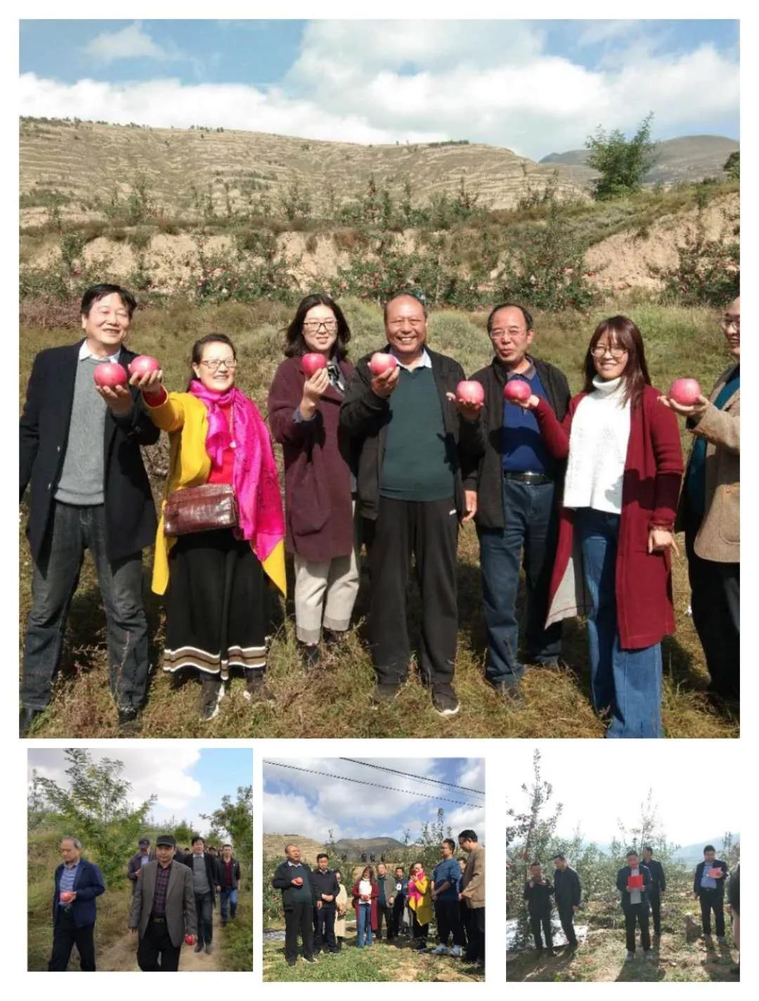 省诗歌创研会武山采风作品集（一）